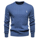 Rogier | Pull Élégant pour Hommes