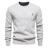 Rogier | Pull Élégant pour Hommes