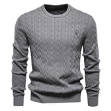 Rogier | Pull Élégant pour Hommes