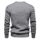 Rogier | Pull Élégant pour Hommes