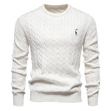 Rogier | Pull Élégant pour Hommes