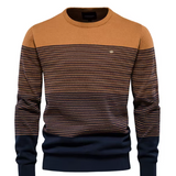 Raymond | Pull Élégant pour Hommes