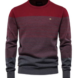 Raymond | Pull Élégant pour Hommes